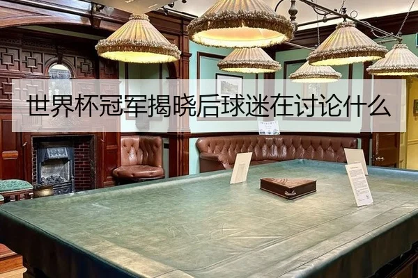 世界杯冠军揭晓后球迷在讨论什么